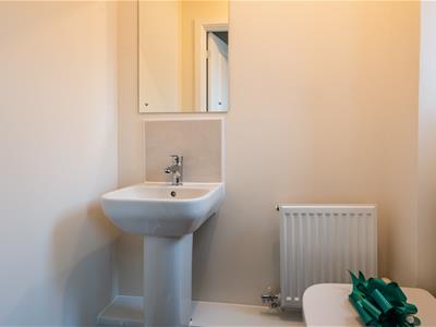 Picture 21